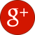 g+ icon